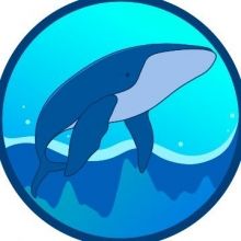 coinaquarium