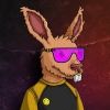 coinvolumes