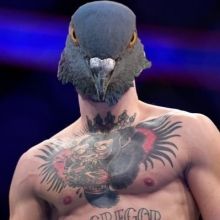 conormcpigeon