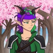 crazyfoxninja51