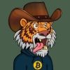 crypto.tigers1