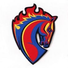 cskainfo