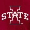 cycloneath