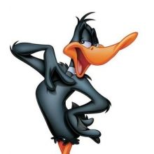 daffy.duck79