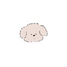 dailyuppuz