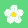 daisy.elixir