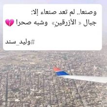 dalalaibi