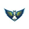 dallaswings