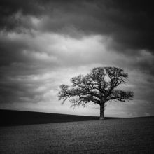 damianwardphoto