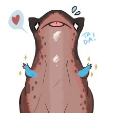 dan58032254
