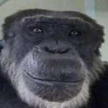 dandanielshiff