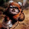 dangar.ewoks