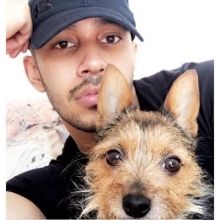 davenewworld.2