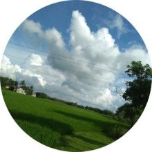 debashi17974206