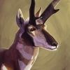 deertush