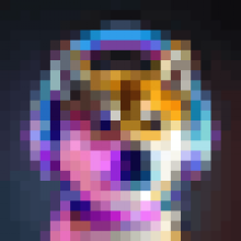 djdoge69