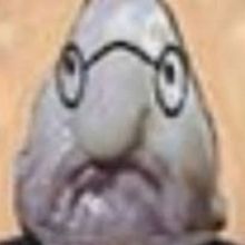 dobsky33