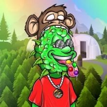 dochollywoodnft
