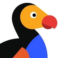 dodo