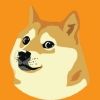 dogebrc20