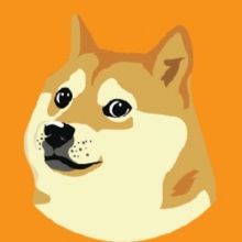 dogebrc20