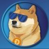 dogecoinride