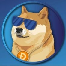 dogecoinride