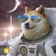 dogesuppporteam