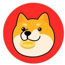 dogpadfinance