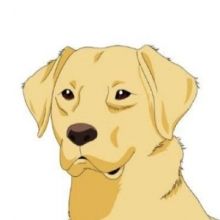 dogsanctuarynft