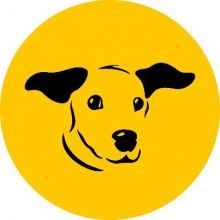 dogstrust.ie