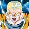 dokkanassets
