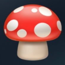 dokudokukinoko