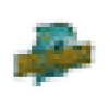 dolphinthirsty