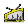 domislivenews