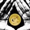 dondoge5000