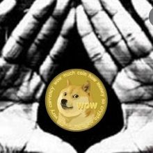 dondoge5000