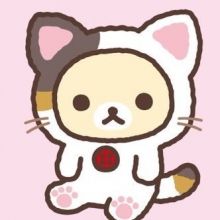 doramacat