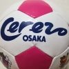 dotou.eng.crz
