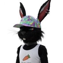 dougalswift