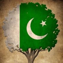 droverseaspk