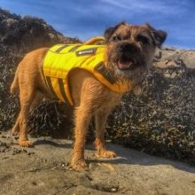 duncanpickles