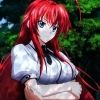 dxd.highschool