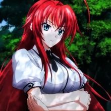 dxd.highschool