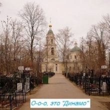 dynamopogost