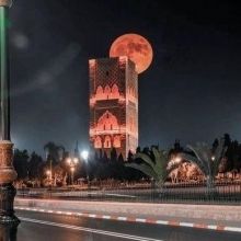 dz22427484