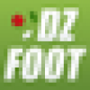 dzfoot