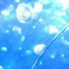 eb6c9b7547d8427