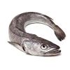 ecomerluciana