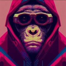 elrondoncrypto